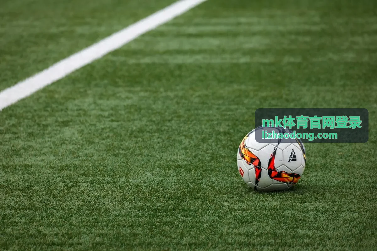 mk体育官网登录登录前准备事项说明图